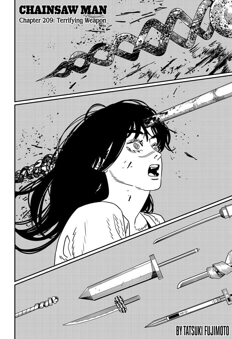 Chapter 209 Image(1)